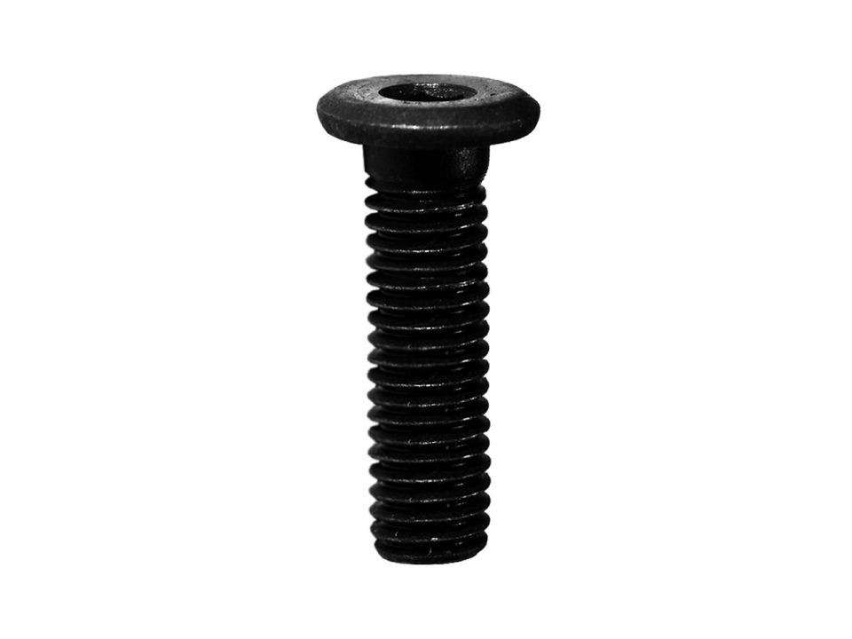 TORNILLO ALLEN M5 x 20mm BAJO PERFIL (10 unidades)