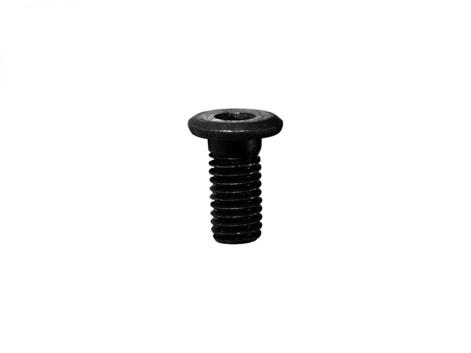 TORNILLO ALLEN M5 x 10mm BAJO PERFIL (10 unidades)