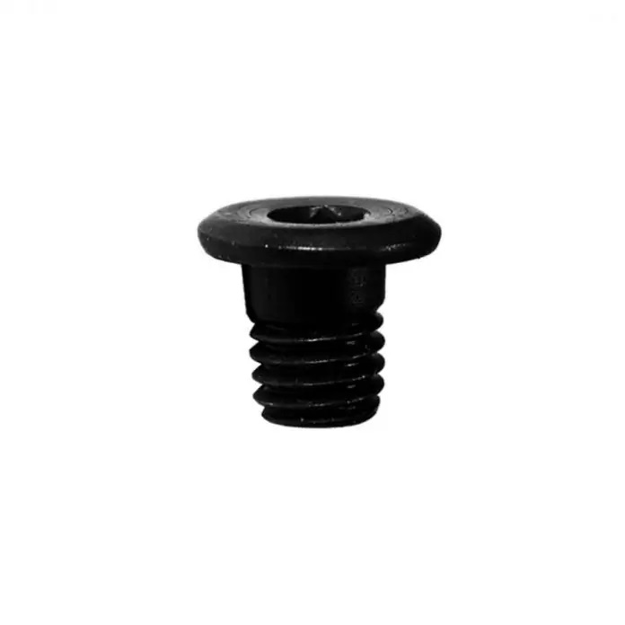 TORNILLO ALLEN M5 x 8mm BAJO PERFIL (10 unidades)